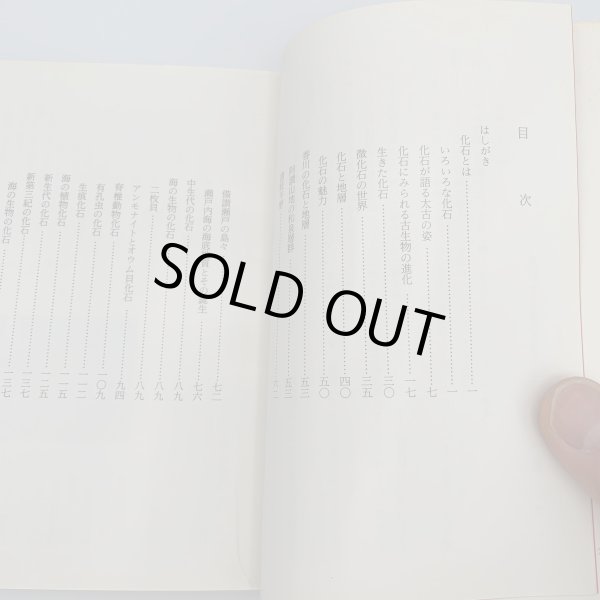 画像6: 香川の化石　 坂東祐司　北岡武雄　市民文庫シリーズ10 (6)