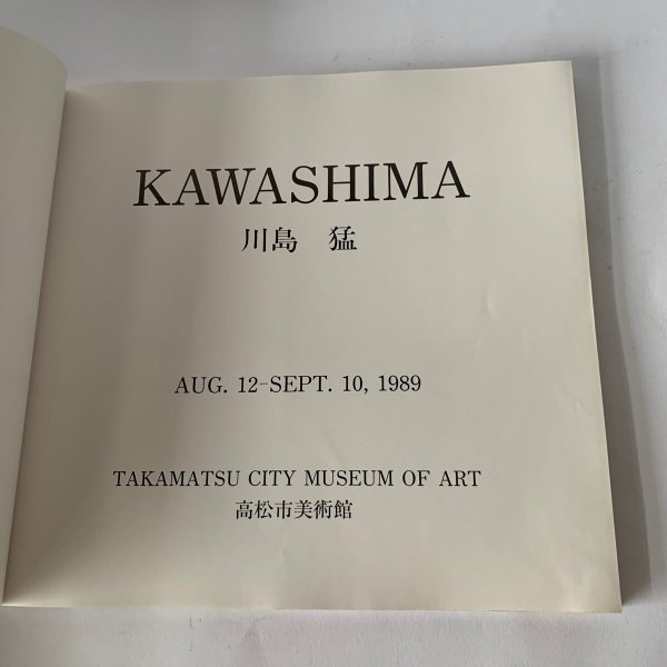 画像5: KAWASHIMA 川島猛 高松市美術館 (5)
