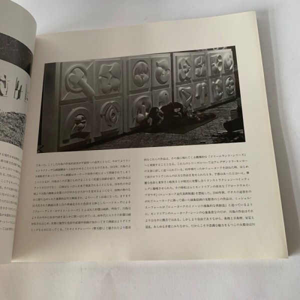 画像7: KAWASHIMA 川島猛 高松市美術館 (7)