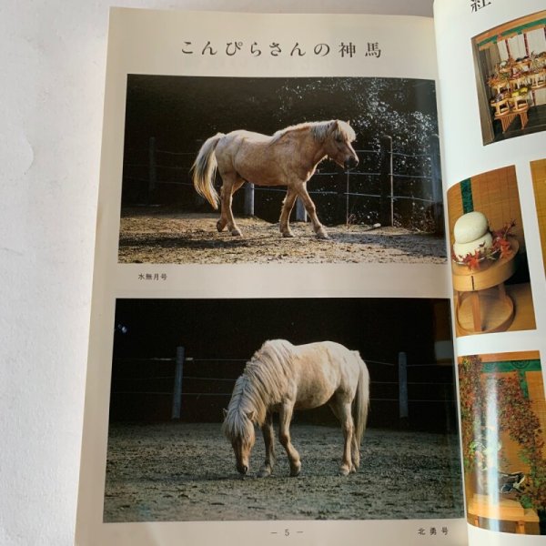画像6: ことひら 平成2年 こんぴらさんの神馬 (6)
