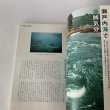 画像11: せとうち暮し　2014年夏　summer Vol.13「海賊の海を旅する」大三島　大島 (11)