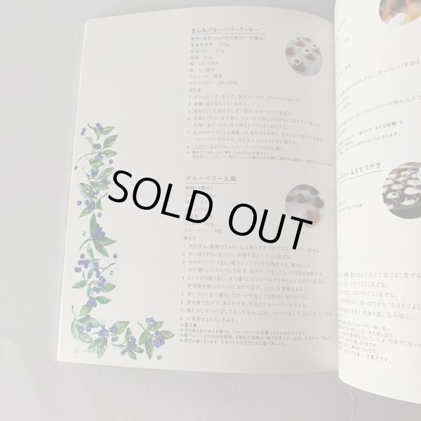 画像12: IKUNAS イクナス Vol.8  藍 のり染め 獅子舞の油単 さぬき染めもの (12)