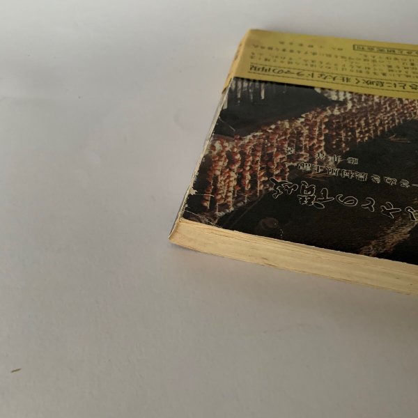 画像9: ふるさとの讃岐 さぬき農村風土記 藤井洋一 (9)