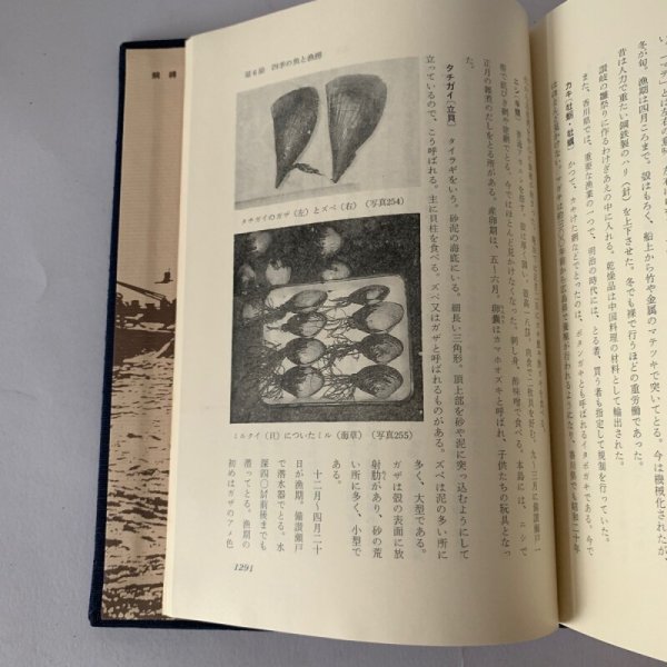 画像8: 香川県漁業史 通史編 (8)