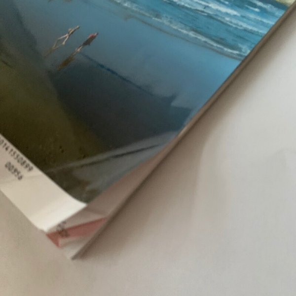 画像7: SAVVY 瀬戸内の島旅 海とアートとおいしいもの (7)