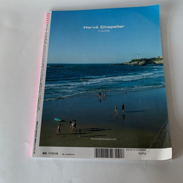 画像3: SAVVY 瀬戸内の島旅 海とアートとおいしいもの (3)