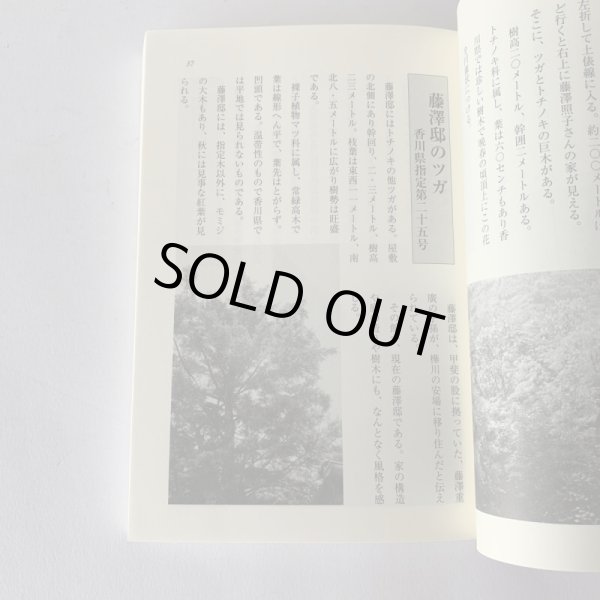 画像8: 二十世紀 塩江の記憶 藤沢秋義 (8)