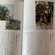 画像4: 香川の保存木　香川県 (4)