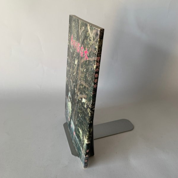 画像2: 香川の保存木 香川県 (2)