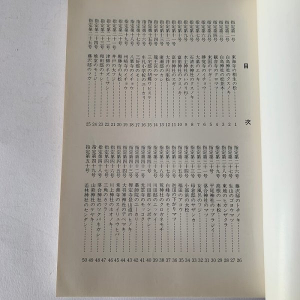 画像12: 香川の保存木 香川県 (12)