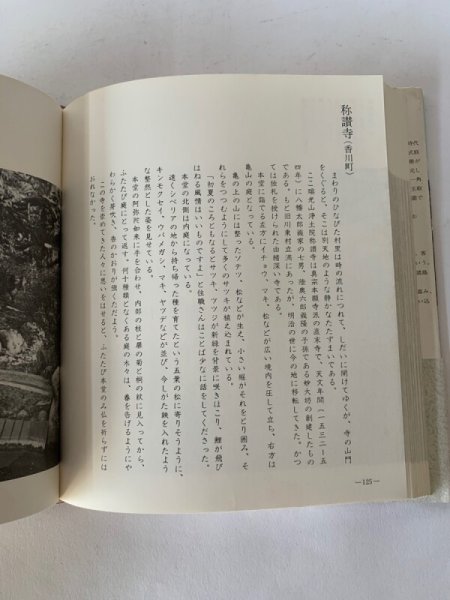 画像8: 古寺の庭 讃岐の古寺ガイドブック ふるさと研究会 (8)