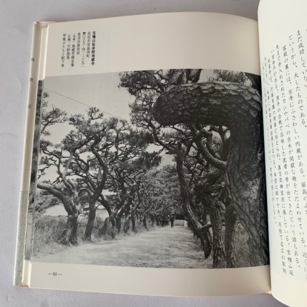 画像9: 古寺の庭 讃岐の古寺ガイドブック ふるさと研究会 (9)