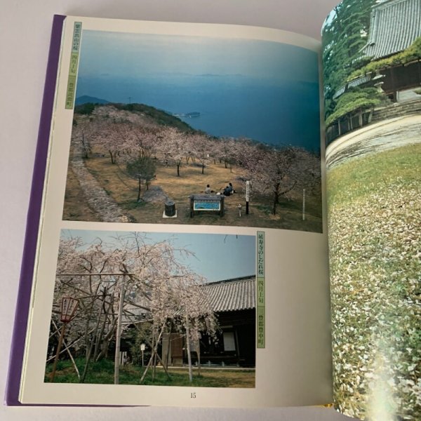 画像6: 写真集 讃岐花ごよみ 安川満俊 (6)