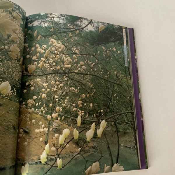 画像7: 写真集 讃岐花ごよみ 安川満俊 (7)