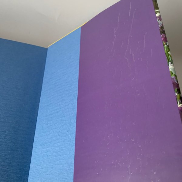 画像8: 写真集 讃岐花ごよみ 安川満俊 (8)