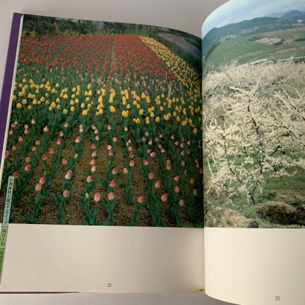 画像9: 写真集 讃岐花ごよみ 安川満俊 (9)