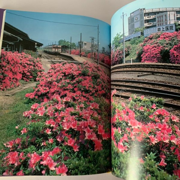 画像2: 写真集 讃岐花ごよみ 安川満俊 (2)