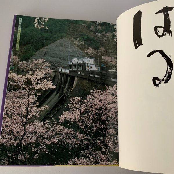 画像11: 写真集 讃岐花ごよみ 安川満俊 (11)