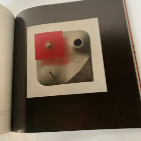 画像12: ISAMU NOGUCHI イサム・ノグチ 写真集 図録 (12)