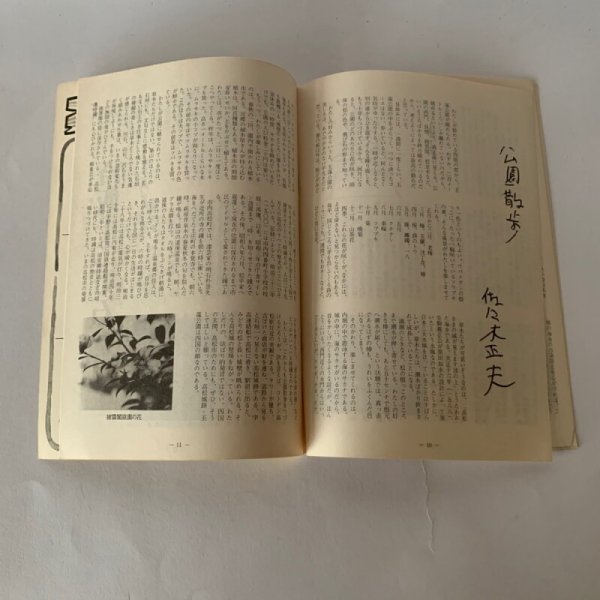 画像2: 玉藻公園(高松城)ものがたり (2)