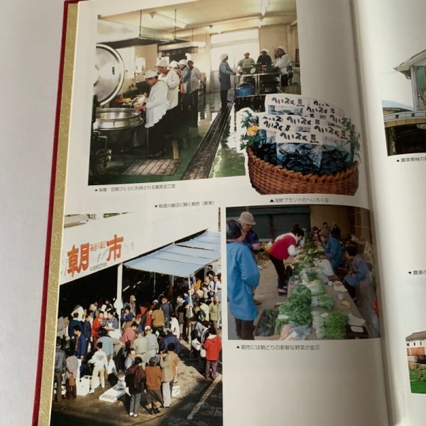 画像13: 浅野農協史 浅野農業協同組合 (13)