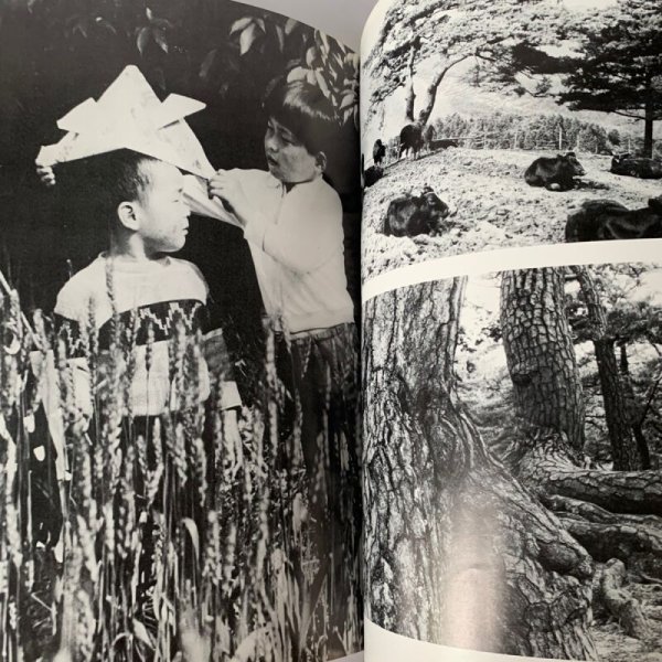 画像9: 未来を築く香川の教育 1970 (9)