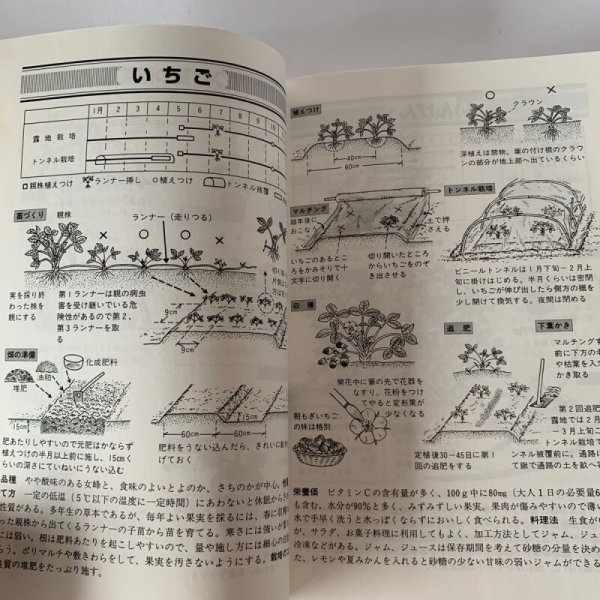 画像7: ＪＡ香川県の　うちんくの野菜づくり　香川県農業協同組合 (7)