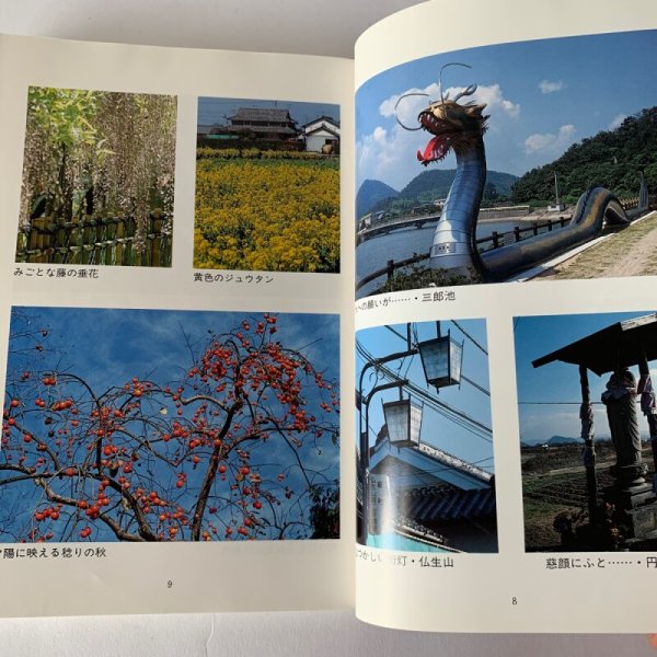 画像6: 文化高松 18 高松市街地 道路ウオッチング (6)