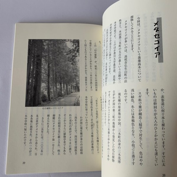 画像6: かがわ探検記　高松大学生涯学習教育センター　津森明 (6)