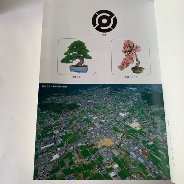 画像6: さぬき 国分寺町誌 (6)