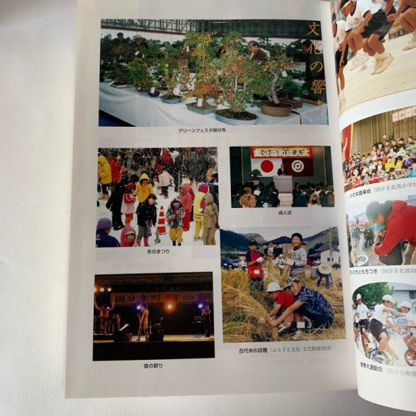 画像10: さぬき 国分寺町誌 (10)