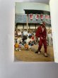 画像3: 生きている　民俗探訪　香川　武田明　第一法規 (3)