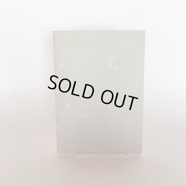 画像4: さぬきの獅子舞 ー西讃地方を主としてー 高瀬町教育委員会 高瀬町文化財保護協会 平成元年 Y7FAA1-210203 (4)