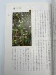 画像7: 香川の薬草　和製ハーブで健やかに　誰でも見つかるフィールドガイド　馬場洽収　四国新聞社　2001年初版　美巧社 (7)