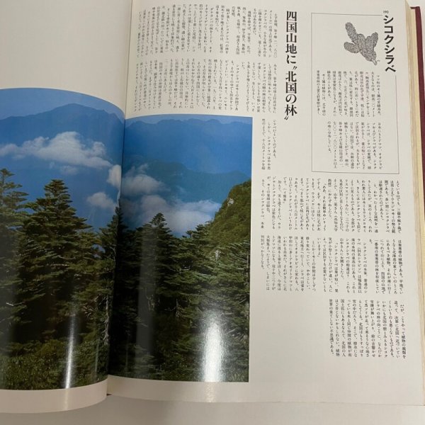 画像6: 土佐の博物誌 1979年 福田義郎  高知新聞社 (6)