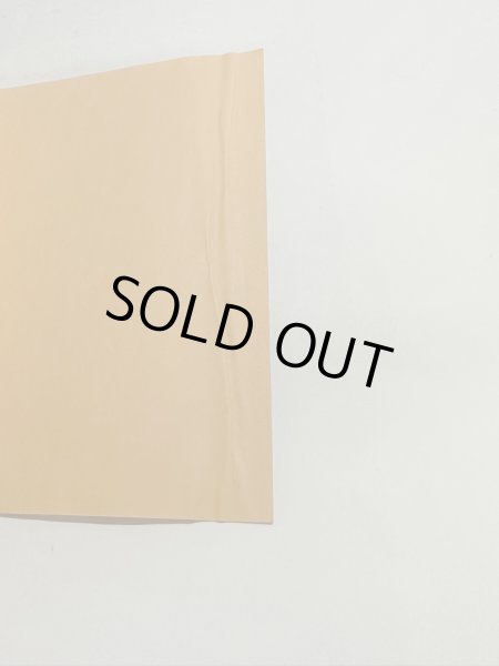 画像12: ふるさとの山は今 勝賀城跡保存会20年のあゆみ (12)