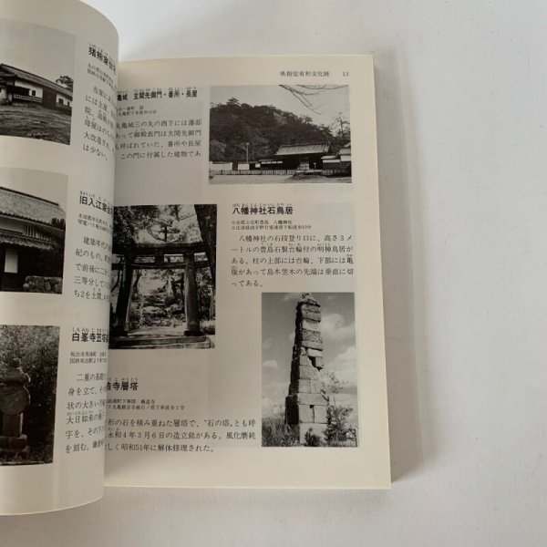 画像9: 香川の文化財 香川県教育委員会 彫漆 型絵染 (9)
