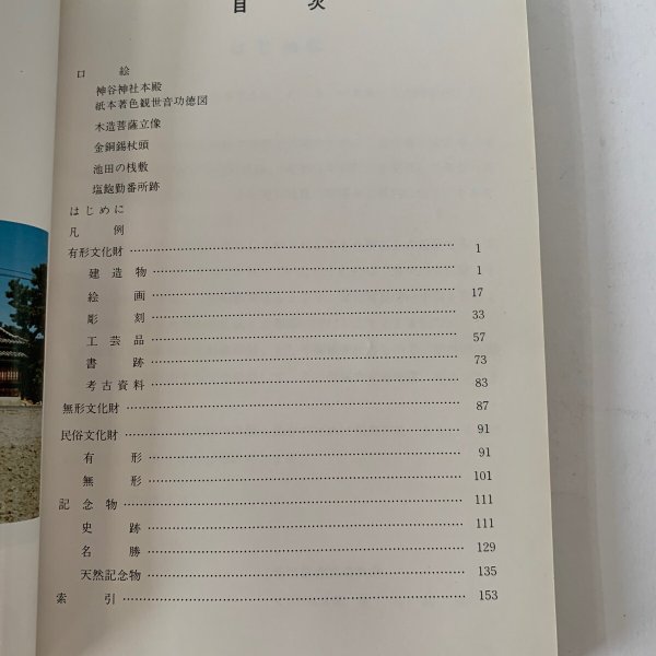 画像10: 香川の文化財 香川県教育委員会 彫漆 型絵染 (10)
