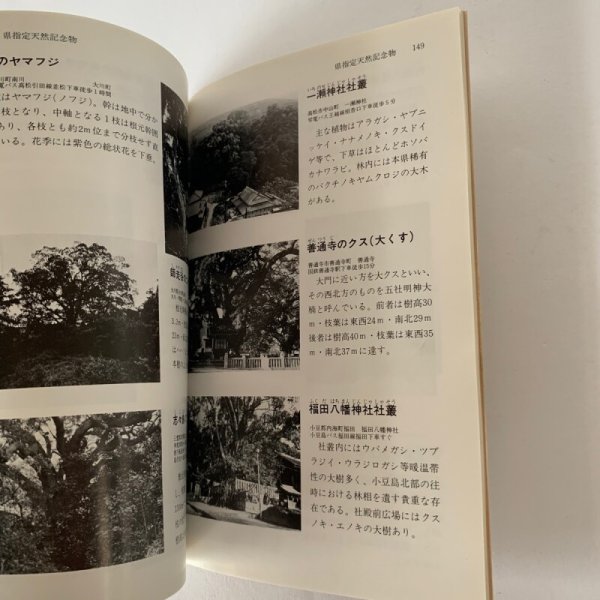 画像13: 香川の文化財 香川県教育委員会 彫漆 型絵染 (13)