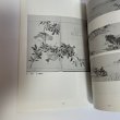 画像6: 讃岐の文人画展　高松市歴史資料館　平成五年度企画展 (6)