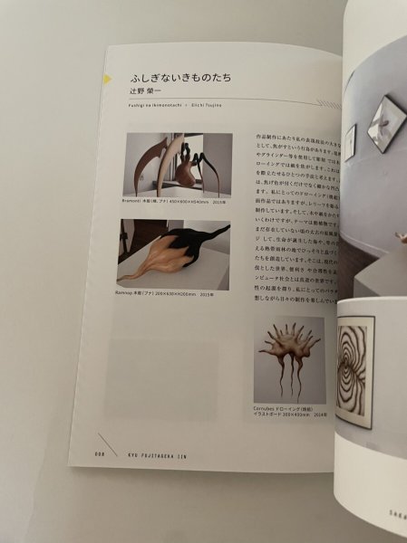 画像5: 人工の地層と人口の夢　sakaide artproject 2016 藤田外科医院　高松工芸高校美術科　坂出人工土地　 (5)