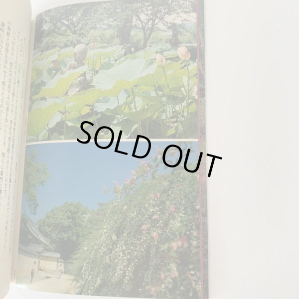 画像4: 讃岐古寺巡礼 花の寺 十河信善 香川文庫 4  (4)