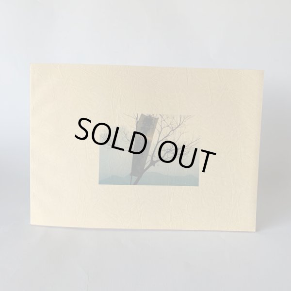 画像2: ふるさとの山は今 勝賀城跡保存会20年のあゆみ (2)