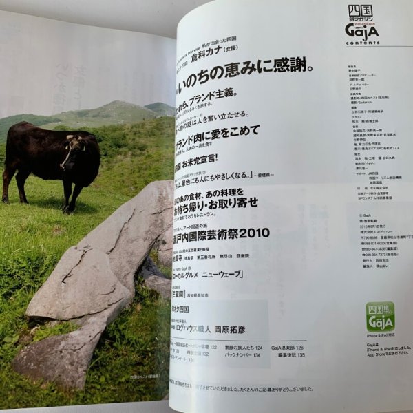 画像2: 四国Gaja 旅マガジン ガジャ 045 瀬戸内国際芸術祭2010 (2)