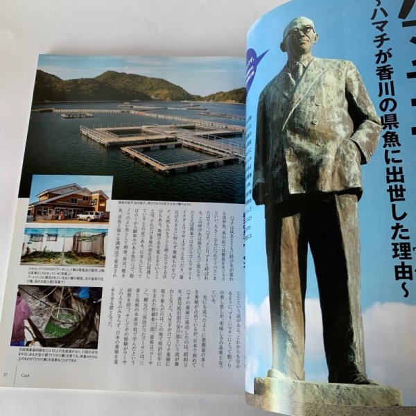 画像4: 四国Gaja 旅マガジン ガジャ 045 瀬戸内国際芸術祭2010 (4)