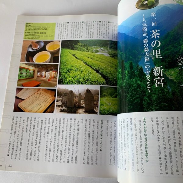 画像6: 四国Gaja 旅マガジン ガジャ 045 瀬戸内国際芸術祭2010 (6)