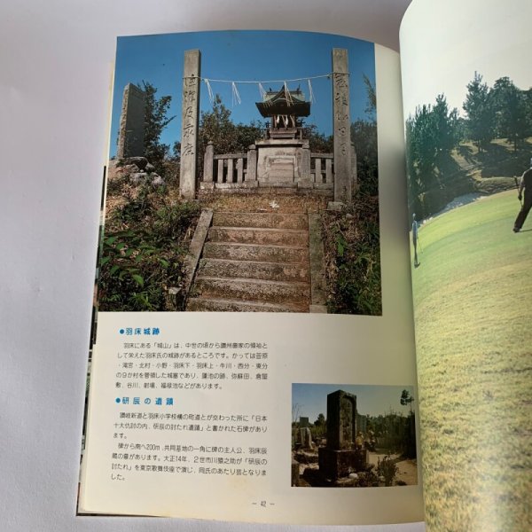 画像5: りょうなん 綾南町町制30周年記念要覧 (5)