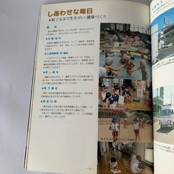 画像6: りょうなん 綾南町町制30周年記念要覧 (6)