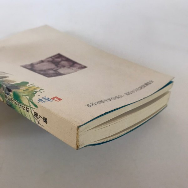 画像4: 古城跡を訪ねて 高松市の文化財 第7篇 秋山忠 高松市歴史民俗協会 昭和57年発行 (4)