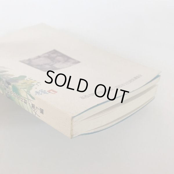 画像4: 古城跡を訪ねて 高松市の文化財 第7篇 秋山忠 高松市歴史民俗協会　昭和57年発行 (4)